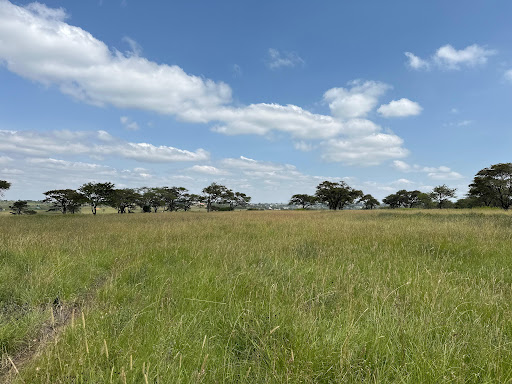 Prime Land in Oltepesi